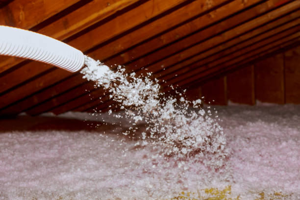 Stagecoach, NV Insulation Contractor Company