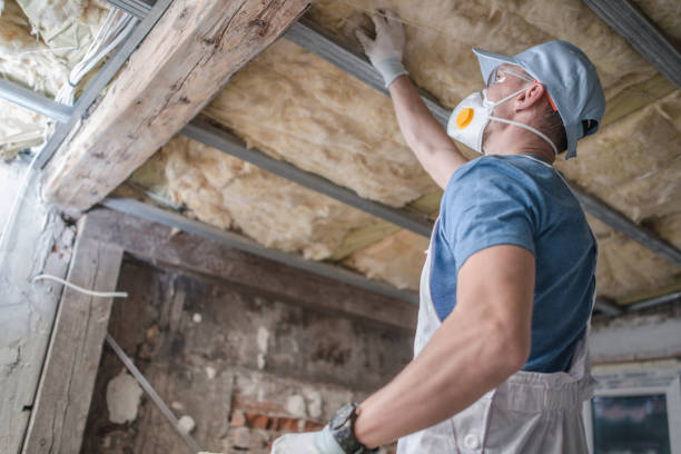 Best Specialized Insulation Services in Stagecoach, NV